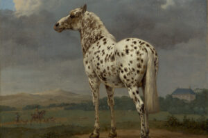 Piebald - 300x200